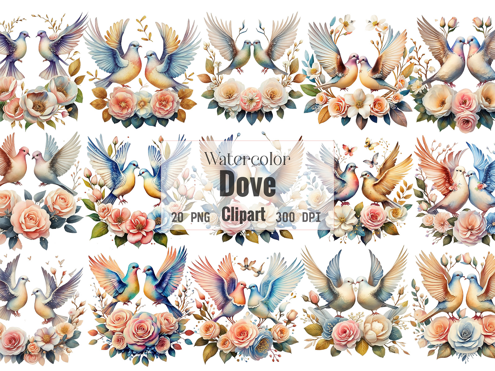 Watercolor Dove clipart by craftproduct on Dribbble