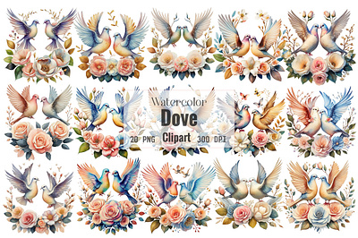 Watercolor Dove clipart peace dove colorful