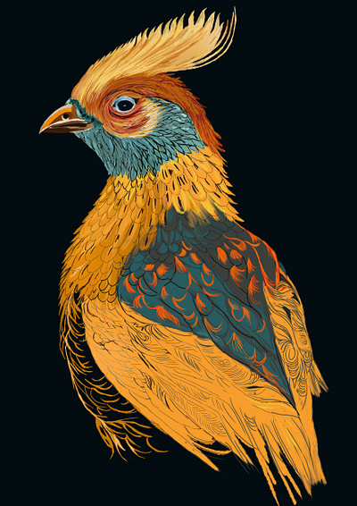 Bird digital painting