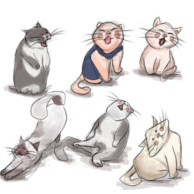 Cats animation design illustration instagram photoshop portrait