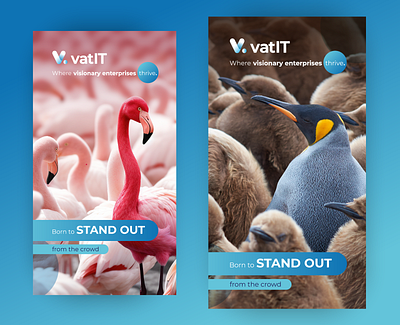 VAT IT - Poster Design branding graphic design poster design