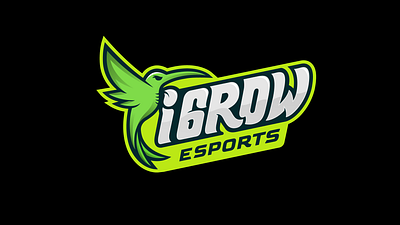 IGROW - E Sports graphic design illustration logo