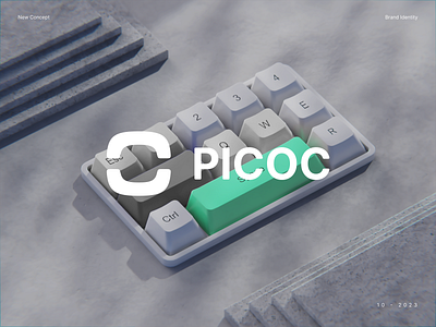 Picoc brand identity concept 3d brand branding design graphic design key keyboard logo logo design presentation ui visual design