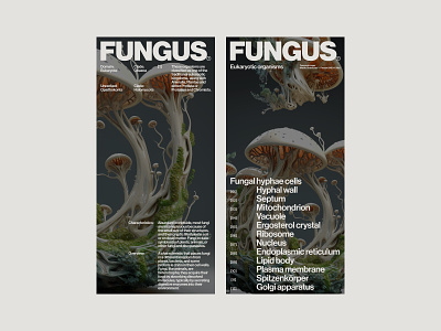 FUNGUS — 4 art direction branding design graphic design layout mobile design typography ui website