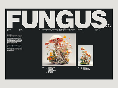 FUNGUS — 6 3d art direction branding design graphic design layout typography ui website