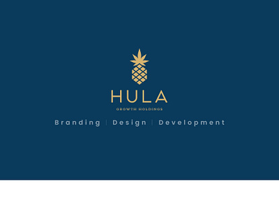 Hula Growth Holdings branding ui ux web development