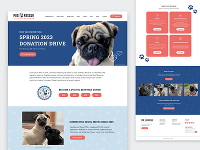 Pug Rescue of Korea - Website Design web design web development