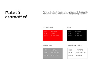 Rednic ProDetailing color palette blackred colorpalette identitybook manualidentitate monochrome rednicprodetailing romaniabranding whitespace