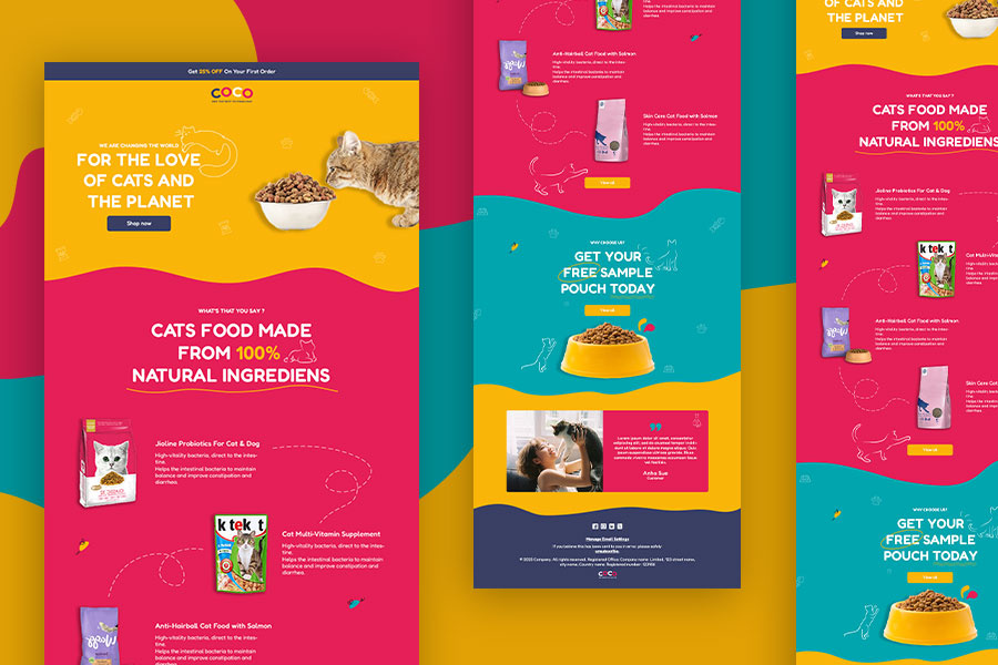 Example of E Newsletter Design 