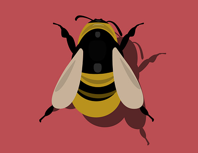 Bumble bee illustration graphicdesign illustration vectorillustration