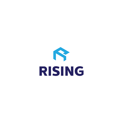 R box branding company design graphic design illustration industrion logo r risking typography