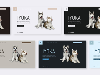 Concept "first screen" for Husky kennel coloristics concept design figma first page husky husky kennel ui