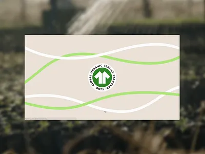 GOTS animation colorful corporate website eco graphic desigh illustration motion graphics stotytelling ui ux web website