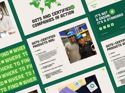 GOTS animation colorful eco graphic illustration ui design ux design website