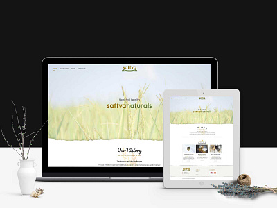 Sattva Naturals web development