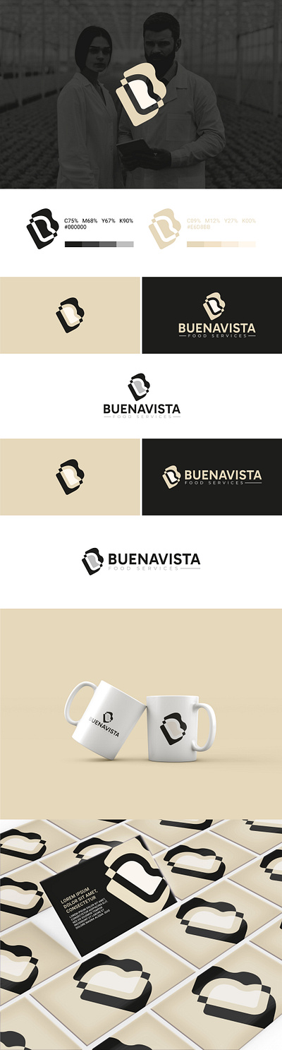 (Branding) Buena Vista branding graphic design