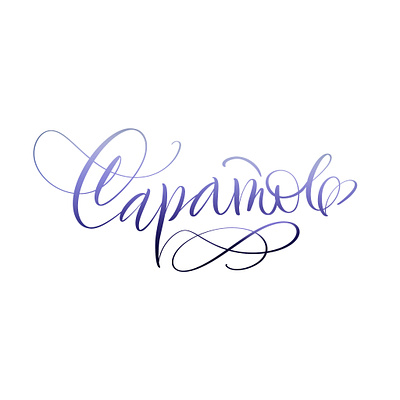 Саратов calligraphy design graphic design illustration lettering letters logo modern calligraphy каллиграфия леттеринг