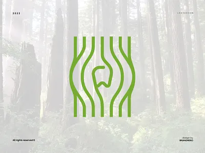 Timber Dental Logo branding clinic dental graphic design health logo modern nature sophisticated timber wood