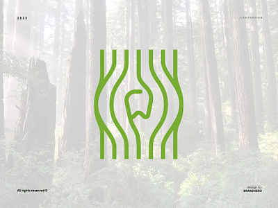 Timber Dental Logo branding clinic dental graphic design health logo modern nature sophisticated timber wood