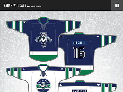 Eagan Hockey Jerseys graphic design