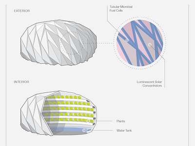 Pop-up Dome Illustration diagram dome graphic design illustration illustrator infographic science