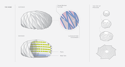 Pop-up Dome Illustration diagram dome graphic design illustration illustrator infographic science