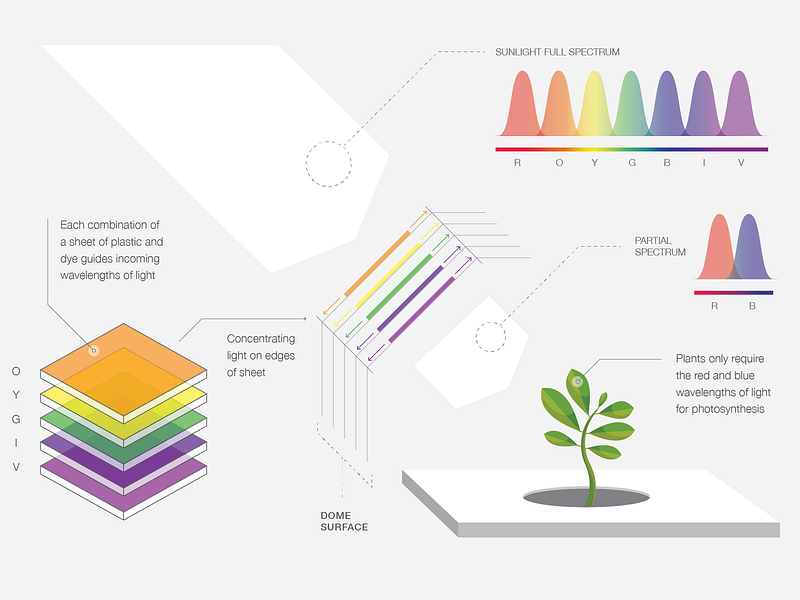 Partial-Spectrum Infographic & Illustration diagram illustration infographic science spectrum vector
