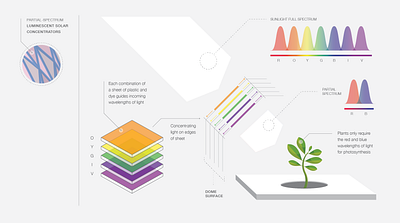 Partial-Spectrum Infographic & Illustration diagram illustration infographic science spectrum vector