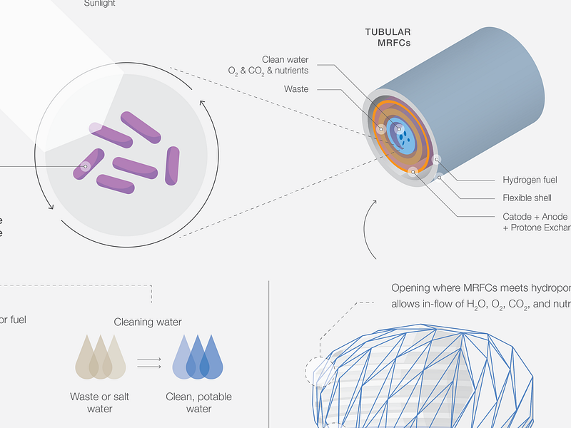 Fuel Cell Infographic & Illustration diagram explanation graphic design illustration infographic science vector