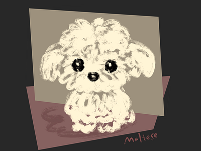 Sketch of Maltese animal character dog illustration maltese pet puppy