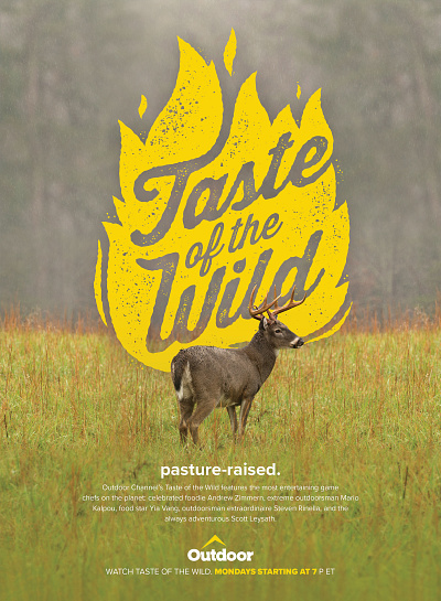 Taste of the Wild Ad Campaign ad campaign advertising branding graphic design logo print ad writing