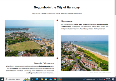 Negombo Municipal Council's Website branding graphic design logo ui webdesign