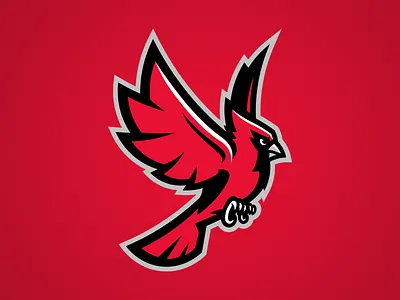 Ball State Cardinals Secondary Cardinal Logo ball state branding cardinals college sports illustration mascot logo sports logo