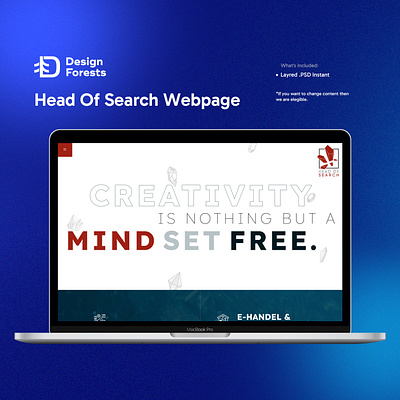Head Of Search Web Design