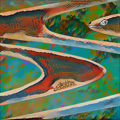 32/Carefully_choose_a_place_for swimming 2dillustration abstract illustration abstraction adobe photoshop comic digitalart digitalartist illusion illustration snake