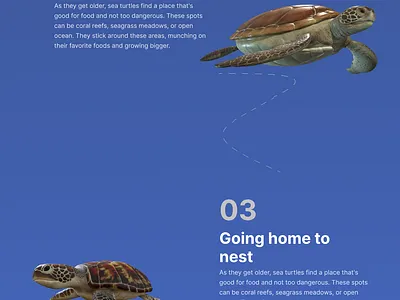 Ocean life information Website 3d animation ui webappdesign