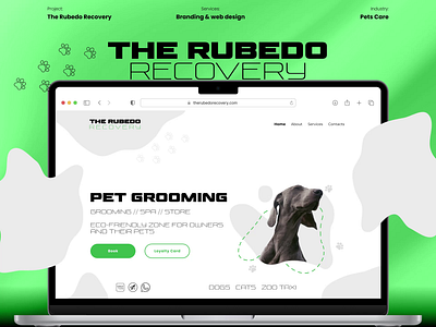 The Rubedo Recovery - pet grooming landing page animal website animation branding cats dogs hero screen illustrations landing page lottie animation motion pet grooming pet website pets