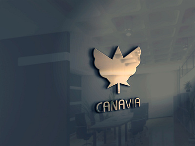 CanaVia | Apparel & Co. Mockups branding design fanshawe college graphic design illustration illustrator logo product design ui vector