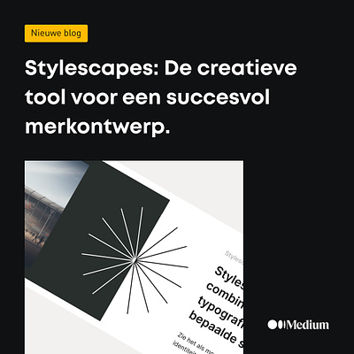New blog — December '23 blog brand design branding business design education insights knowledge logo stylescapes