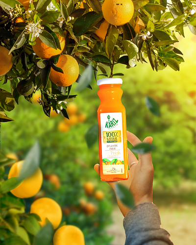 Poster Juice Orange poster