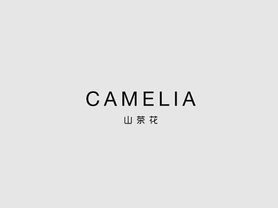 Camelia Brand Design branding fashion ui website