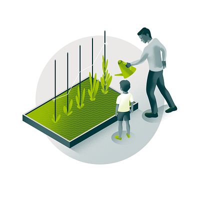IPS Capital – Conceptual Illustrations 3/6 clean illustration family finance fintech future good example green investment growth illustration investments jack daly product illustration professional services scottish illustrator security vector watering can