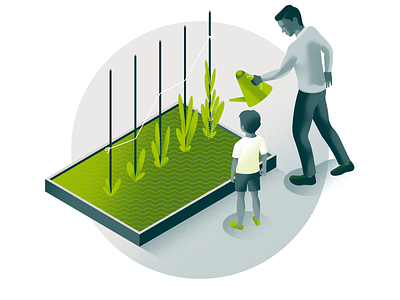 IPS Capital – Conceptual Illustrations 3/6 clean illustration family finance fintech future good example green investment growth illustration investments jack daly product illustration professional services scottish illustrator security vector watering can