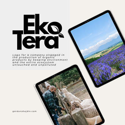 Eko Tera branding design graphic design logo logo design vector