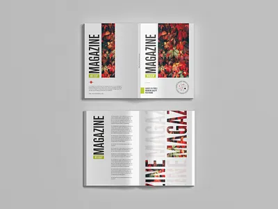Free Magazine Mockup magazine mockup
