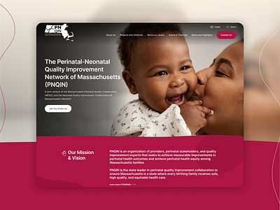 Nonprofit Website Design - PNQIN charity design elevation foundation neonatal non profit nonprofit nonprofit website design obstetric organization perinatal ui webdesign