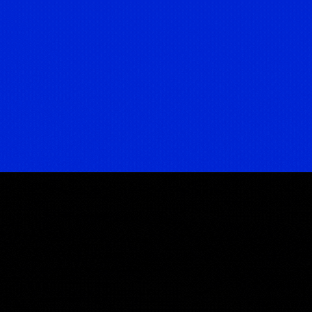 Example of Custom Logo Animation Intro