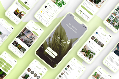 Plant Price Comparison, E-Commerce & Networking App figma graphic design prototypes ui