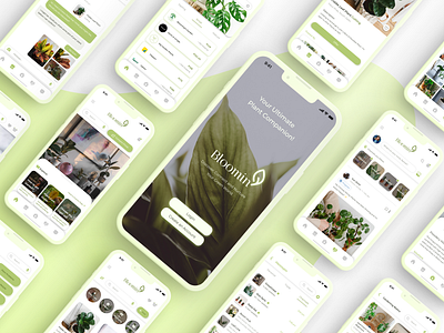 Plant Price Comparison, E-Commerce & Networking App figma graphic design prototypes ui