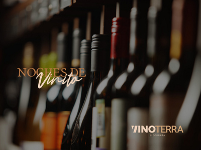 Vinoterra - Liquor Store branding graphic design logo
